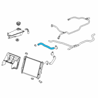 OEM 2010 Chevrolet Corvette Upper Hose Diagram - 19130526