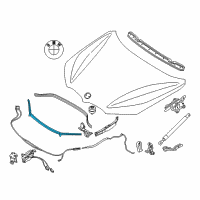 OEM BMW X1 Front Engine Hood Sealing Diagram - 51-76-7-329-384