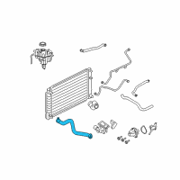 OEM Mercury Lower Hose Diagram - 6L8Z-8260-B