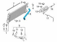 OEM 2022 Ford F-150 HOSE - RADIATOR Diagram - ML3Z-8260-C