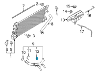 OEM 2022 Ford F-150 Lower Hose Clamp Diagram - -W527389-S444