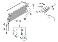 OEM Ford Bronco Lower Hose Clamp Diagram - -W527389-S444