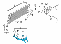 OEM 2022 Ford F-150 Radiator Hose Diagram - ML3Z8286C