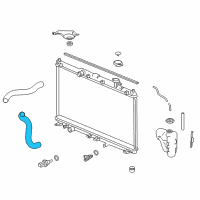 OEM Acura TLX Hose, Water Lower Diagram - 19502-RDF-A00