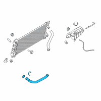 OEM 2015 Ford F-150 Lower Hose Diagram - FL3Z-8286-D