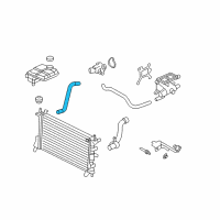 OEM 2003 Ford Focus Lower Hose Diagram - 5S4Z-8286-AA