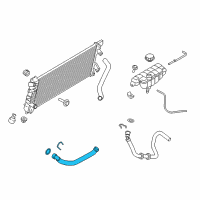 OEM 2019 Ford F-150 Lower Hose Diagram - FL3Z-8286-B