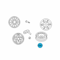 OEM 2012 Kia Sedona Wheel Hub Cap Assembly Diagram - 529604D100