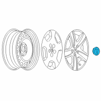 OEM 2006 Pontiac Torrent Center Cap Diagram - 9596653