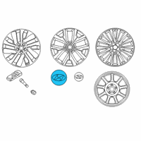 OEM Hyundai Palisade Center Cap Diagram - 52960-S8200