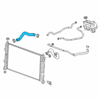 OEM 2020 Chevrolet Silverado 1500 Lower Hose Diagram - 84545560