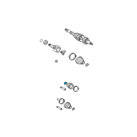 OEM Toyota MR2 Spyder Clamp Diagram - 42345-20100