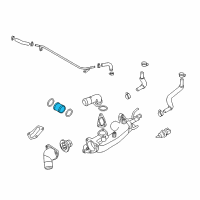 OEM Kia Borrego Tube Diagram - 256613C100