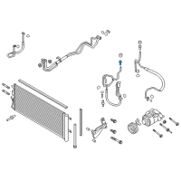 OEM Ford Ranger Seal Kit Valve Diagram - 6L1Z-19D701-B