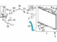OEM Acura TLX HOSE, WATER (LOWER) Diagram - 19502-6S9-A00