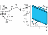 OEM 2022 Acura TLX RADIATOR Diagram - 19010-6S9-A01