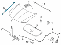 OEM 2022 Hyundai Santa Cruz ROD ASSY-HOOD STAY Diagram - 81170-K5000