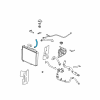 OEM 2003 Cadillac CTS Lower Hose Diagram - 25740123