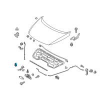 OEM 2008 Kia Spectra5 Clip-Hood Stay Rod Diagram - 8117421010