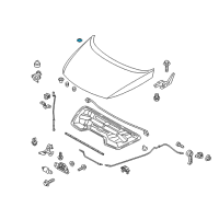 OEM 2016 Kia Sportage Plug-Wax Injection Hole Diagram - 841362B000