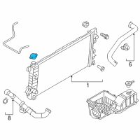 OEM 2014 Ford F-150 Radiator Cap Diagram - 6L2Z-8100-AC