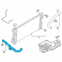 OEM 2013 Ford F-150 Lower Hose Diagram - BL3Z-8286-D