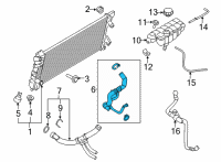 OEM 2021 Ford F-150 HOSE - RADIATOR Diagram - ML3Z-8260-E