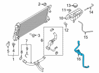 OEM 2021 Ford F-150 HOSE ASY Diagram - ML3Z-8C289-E