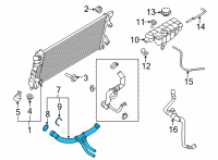 OEM 2021 Ford F-150 HOSE - RADIATOR Diagram - ML3Z-8286-J