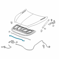 OEM 2018 Buick Envision Front Weatherstrip Diagram - 23360502