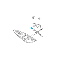 OEM 2006 Toyota Solara Tail Lamp Bulb Diagram - 90981-AD003