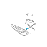 OEM 2005 Toyota Solara Tail Lamp Bulb Diagram - 90981-AD004