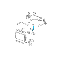 OEM 2011 Buick Lucerne Lower Hose Diagram - 21999765