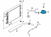 OEM 2020 Ford Escape TANK ASY - RADIATOR OVERFLOW Diagram - LX6Z-8A080-A