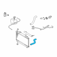 OEM Toyota Solara Upper Hose Diagram - 16571-0H020