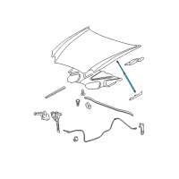 OEM 2008 Buick LaCrosse Strut Asm-Hood Diagram - 25885395