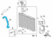 OEM 2022 Honda Civic HOSE, WATER (LOWER) Diagram - 19502-64A-A00