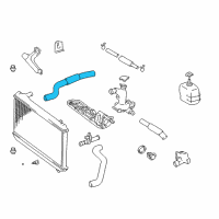 OEM Lexus ES330 Hose, Radiator Diagram - 16571-AA010