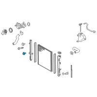 OEM 2010 Toyota 4Runner Radiator Assembly Lower Support Diagram - 16534-38010