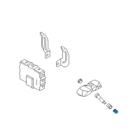 OEM 2007 Kia Rondo Cap-Valve Diagram - 529332G410