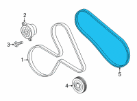 OEM 2022 Ford F-150 V-BELT Diagram - ML3Z-8620-A