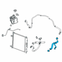 OEM 2018 Chevrolet Camaro Hose Asm-Radiator Outlet Diagram - 23346507