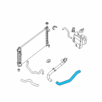 OEM 2010 Nissan Maxima Hose-Lower Diagram - 21503-9HA0B