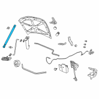 OEM 2017 Chevrolet Caprice Support Strut Diagram - 92246947