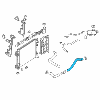 OEM 2018 Nissan Rogue Sport Hose-Radiator, Lower Diagram - 21503-DF40A