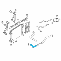 OEM Nissan Rogue Sport Hose-Radiator, Lower Diagram - 21503-DF30B