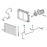 OEM Buick A/C Service Cap Diagram - 84595494