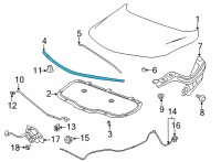 OEM Buick Encore GX Front Weatherstrip Diagram - 42664034