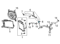 OEM Chevrolet Corvette Rear Hose Clamp Diagram - 11602210