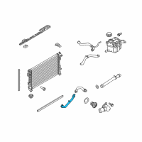 OEM 2012 Lincoln MKT Lower Hose Diagram - AA5Z-8286-D